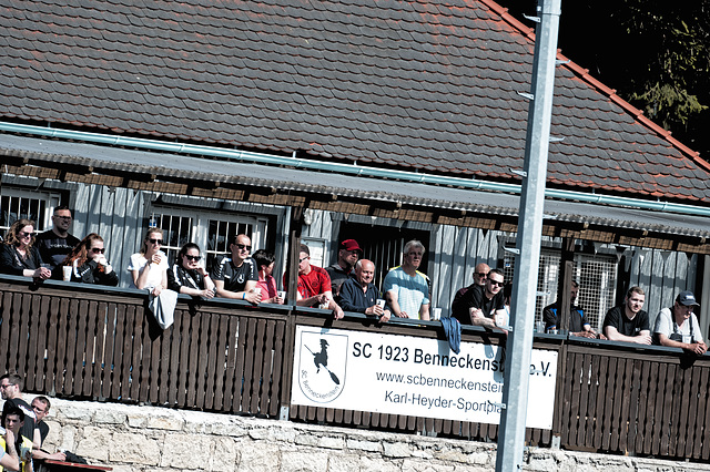 20250412_Voigtsfeld Benne, Fußball, Wildpflanzen