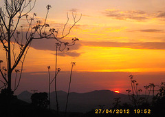 Bon Mardi ensoleillé.