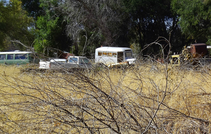 Miniature bus