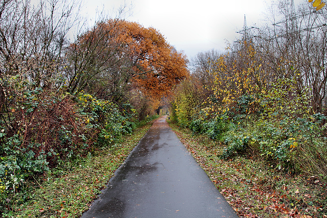 Radweg auf der ehem. Bahnstrecke Welver–Oberhausen-Sterkrade (Unna-Königsborn) / 25.11.2017