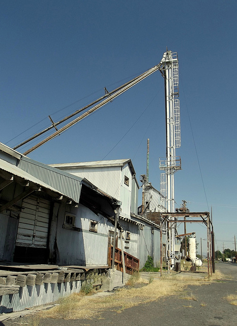 Abandoned feed and grain mill