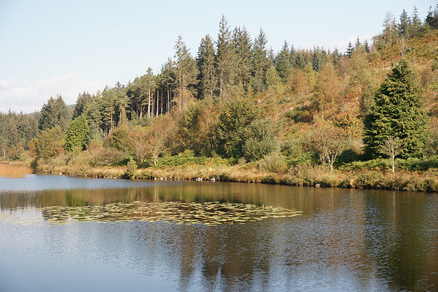 Loch Stroan