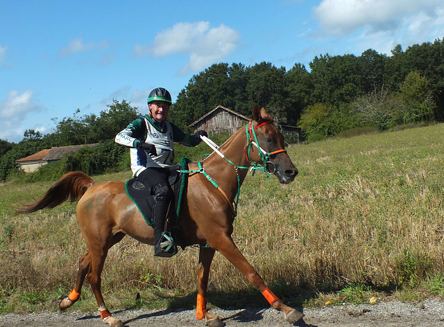 Chapionnat mondial d'endurance équestre  8 Septembre 2024 .Monpazier 24 (Périgord Pourpre)