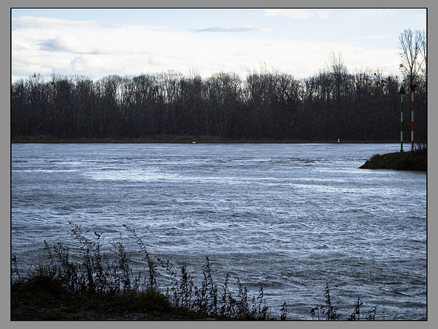 Regen am Rhein