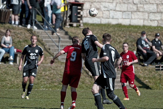 20250412_Voigtsfeld Benne, Fußball, Wildpflanzen