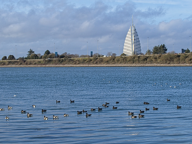 Sails of the South