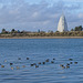 Sails of the South