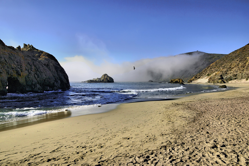 Soaring – Pfeiffer State Beach, Monterey County, California