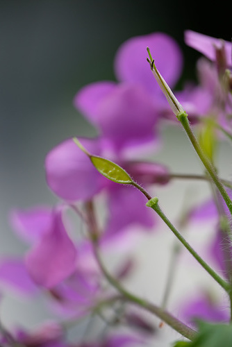 DSCF5943