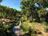 Crossing The San Pedro River