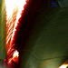 Mysterium 3
