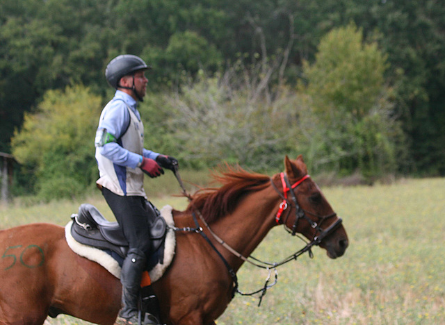 Chapionnat mondial d'endurance équestre  8 Septembre 2024 .Monpazier 24 (Périgord Pourpre)