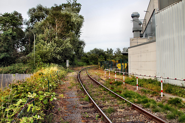 Gleis der Bahnstrecke Hamm–Lippborg (Hamm) / 6.07.2024