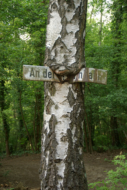 Baum frist Schild