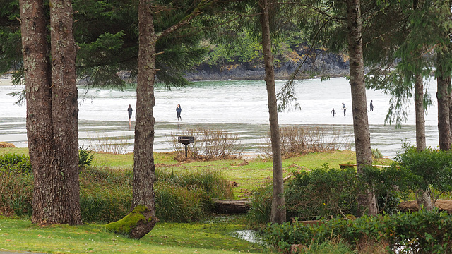 Tofino. BC