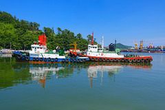 Tugs in Okpo harbour
