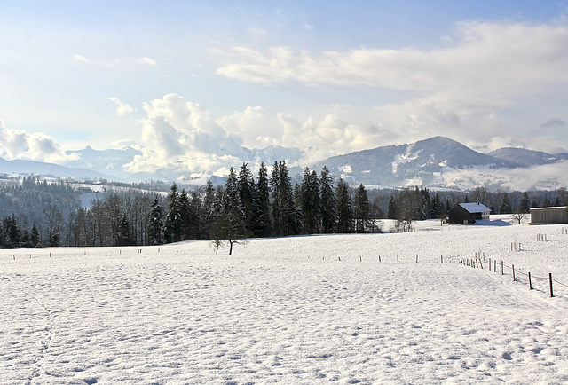 Landschaft im Allgäu