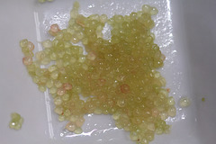 Microcitrus  - Citron caviar