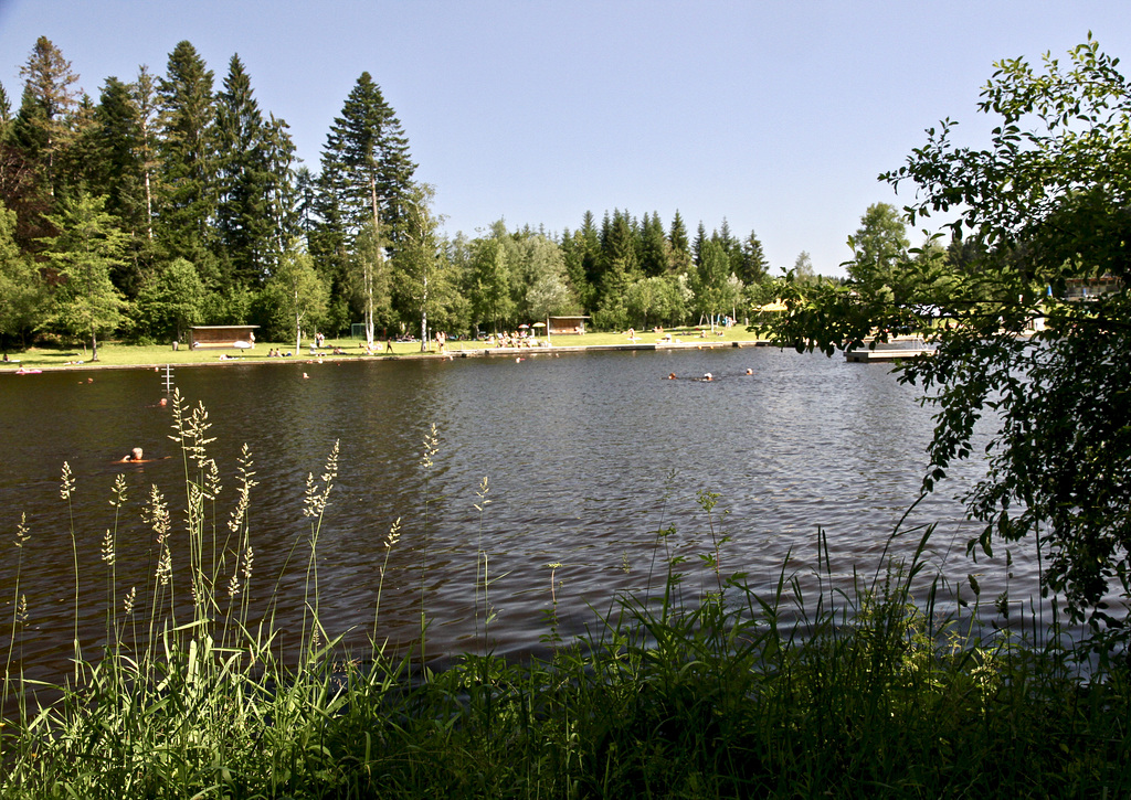 Moorsee in Lindenberg im Allgäu