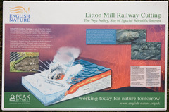 English Nature information board, Litton Mill Railway Cutting, Peak District National Park, Derbyshire