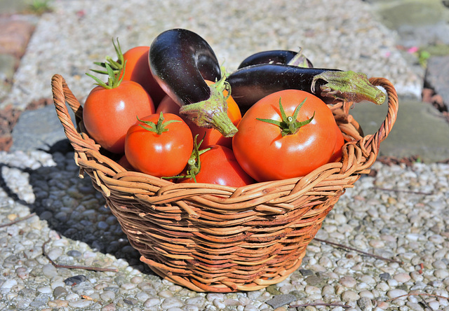 Le panier de mon pote âgé !