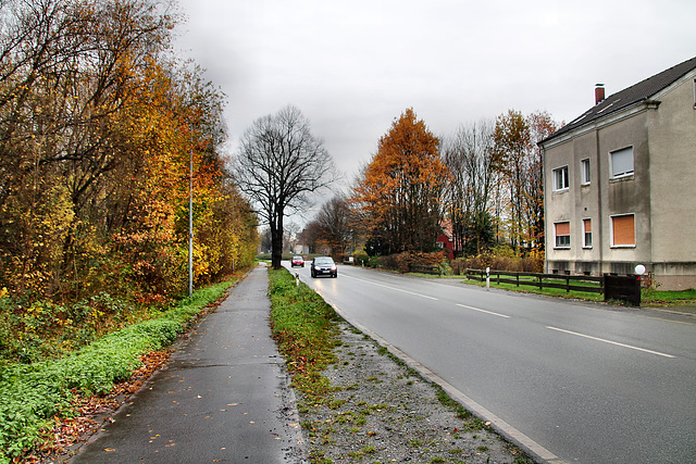 Hammer Straße (Unna-Königsborn) / 25.11.2017