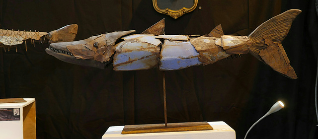 Barracuda L110 cm