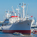 CAP SAN DIEGO, Museums-Frachtschiff im Hafen von Hamburg (© Buelipix)