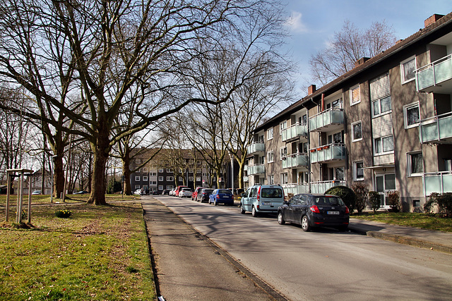 Mühlackerstraße (Dortmund-Kurl) / 12.03.2022