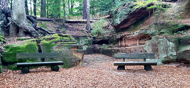 HBM im NuernbergerZoo