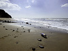 Oasis? - Compton Bay beach Bay Isle of Wight