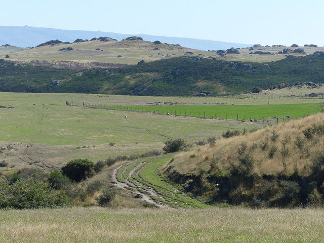 Taieri Gorge Railway (23) - 1 March 2015