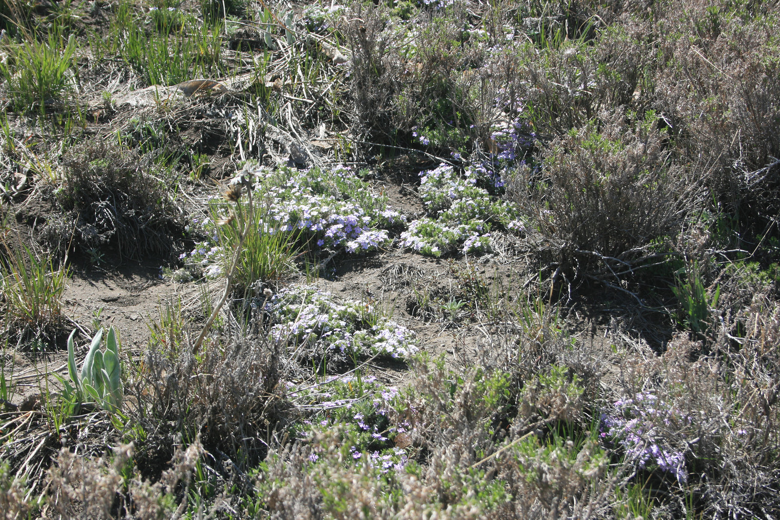 IMG 8715