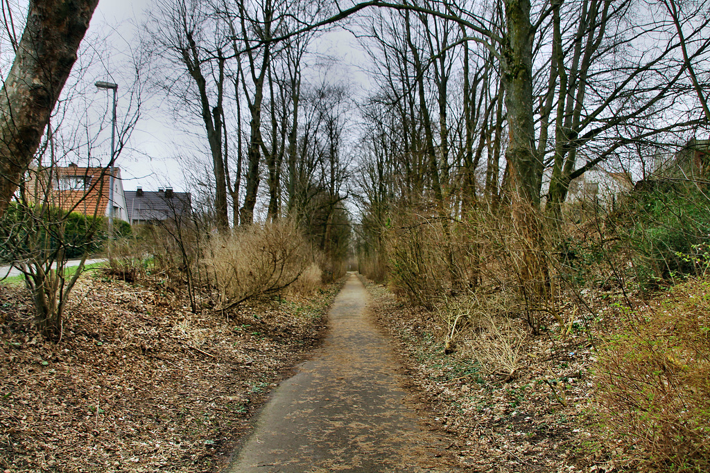 Radweg auf der ehem. Zechenbahn Constantin (Herne) / 22.02.2020