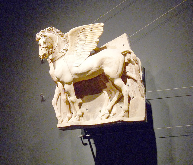 Museo archeologico-Cavallo alato