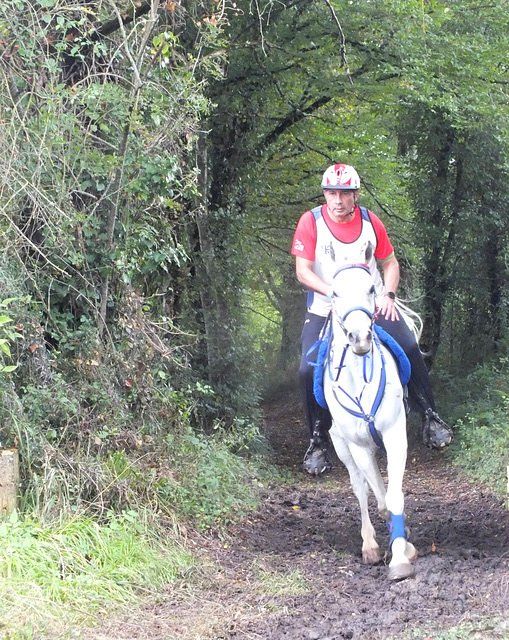 Chapionnat mondial d'endurance équestre  8 Septembre 2024 .Monpazier 24 (Périgord Pourpre)