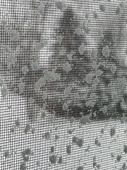 our heaviest snow of the winter our heaviest snow of the winter