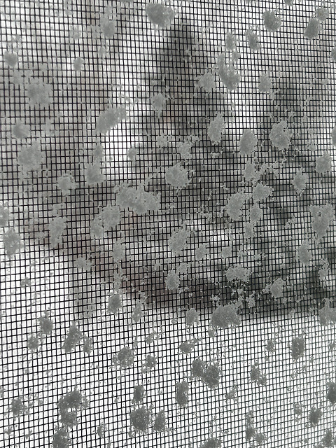 our heaviest snow of the winter