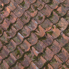 Dakpannen - Rooftiles