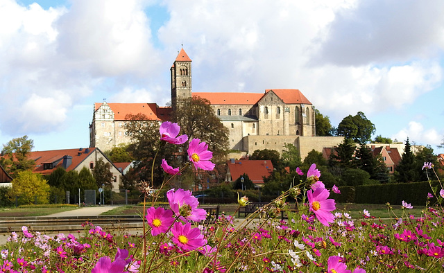 Blick vom Abteigarten zum Schlossberg Quedlinburg