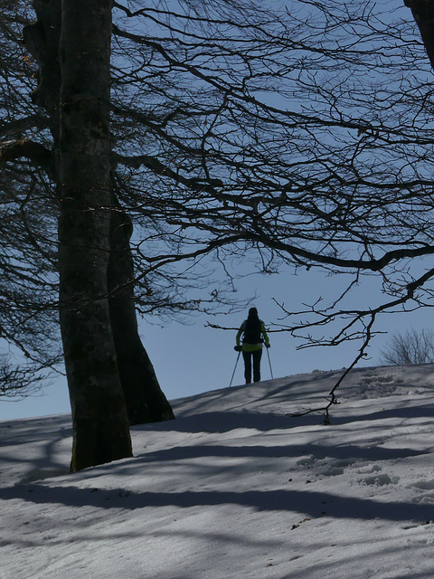 20190224 Raquettes plateau d'Ambel (128) al