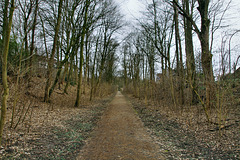 Radweg auf der ehem. Zechenbahn Constantin (Herne) / 22.02.2020