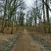 Radweg auf der ehem. Zechenbahn Constantin (Herne) / 22.02.2020