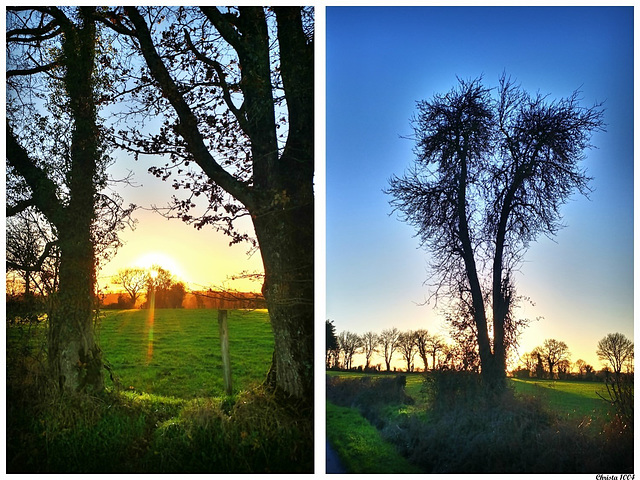 Fenêtres sur nature...