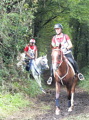 Chapionnat mondial d'endurance équestre  8 Septembre 2024 .Monpazier 24 (Périgord Pourpre)