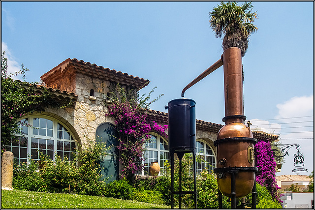 Garten der Parfümerie Molinard