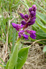 P1097859