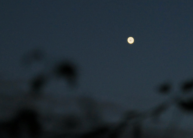 Der Jupiter  (pip)