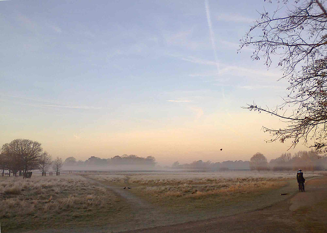 Bushy Park, SW London