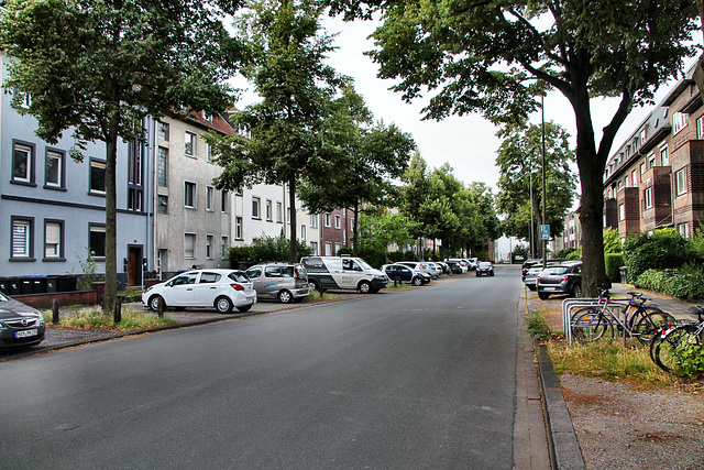 Grünstraße (Hamm) / 6.07.2024